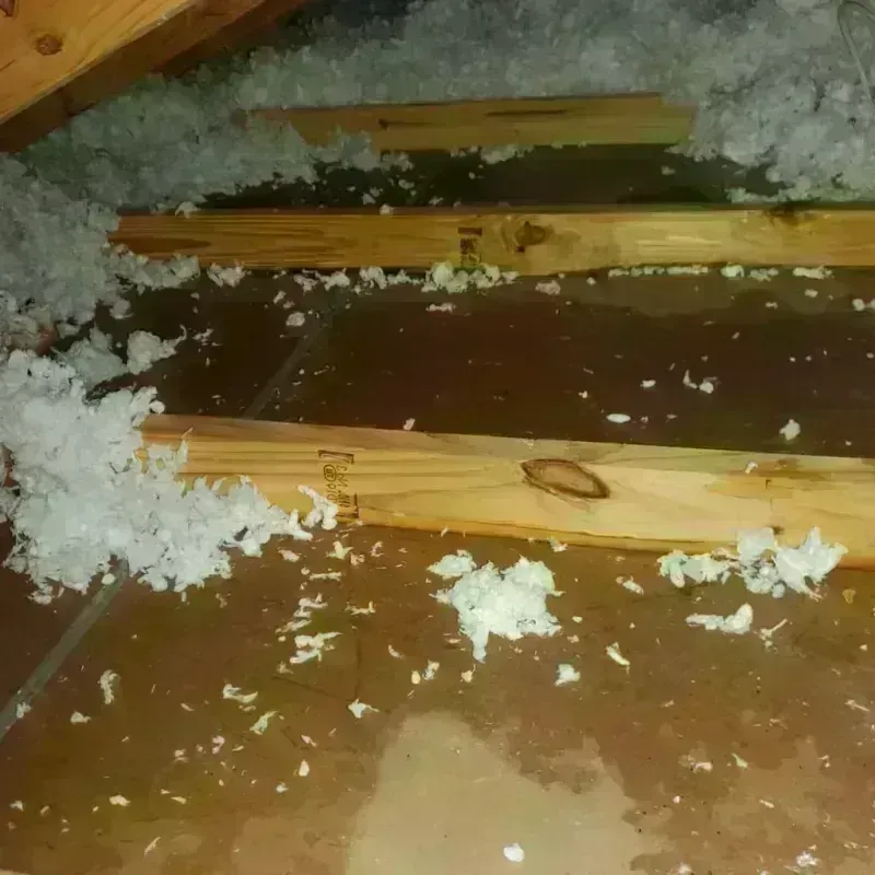 Attic Water Damage in Richland County, OH