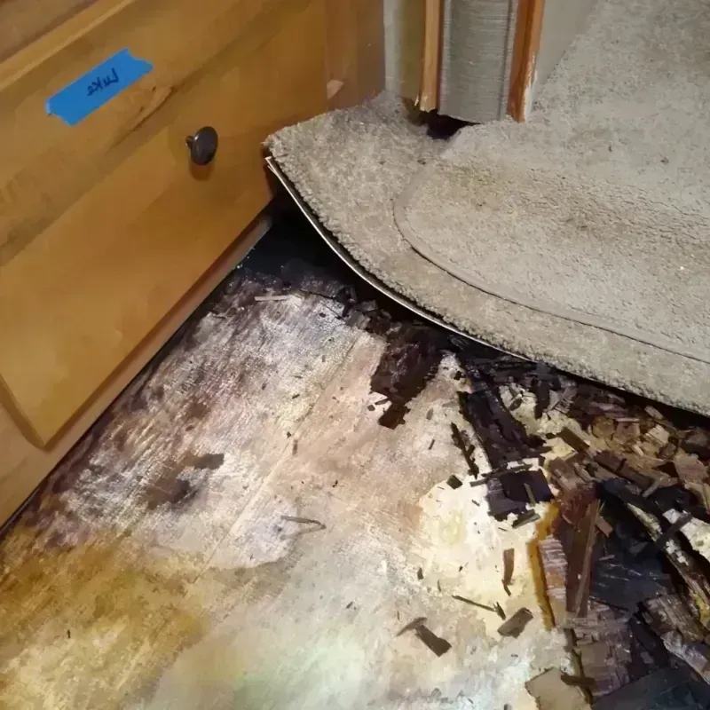 Wood Floor Water Damage in Richland County, OH